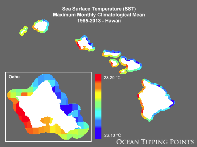 Screen Shot 2019-12-27 at 10.58.31 PM