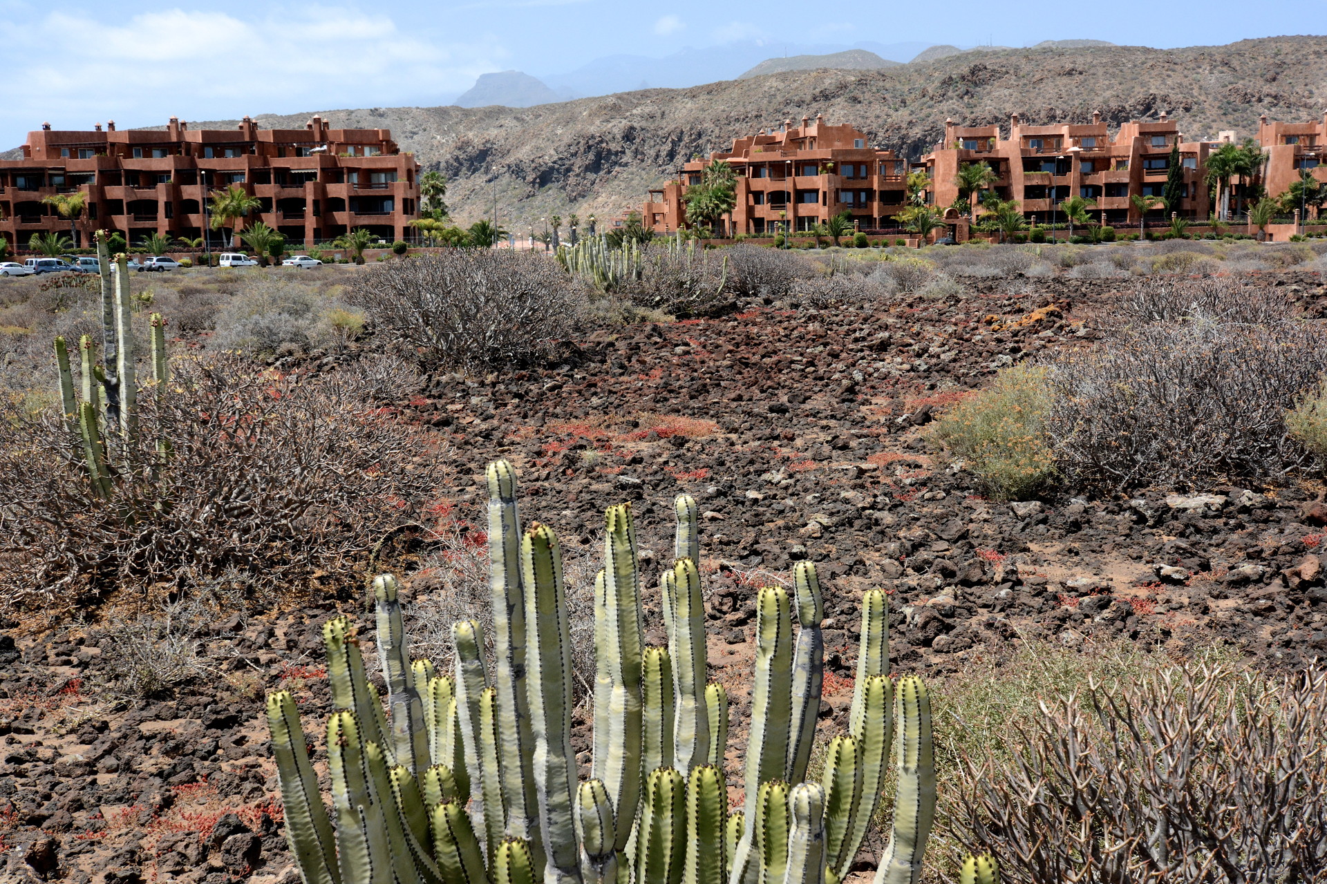 DSC_7625 - Version 2