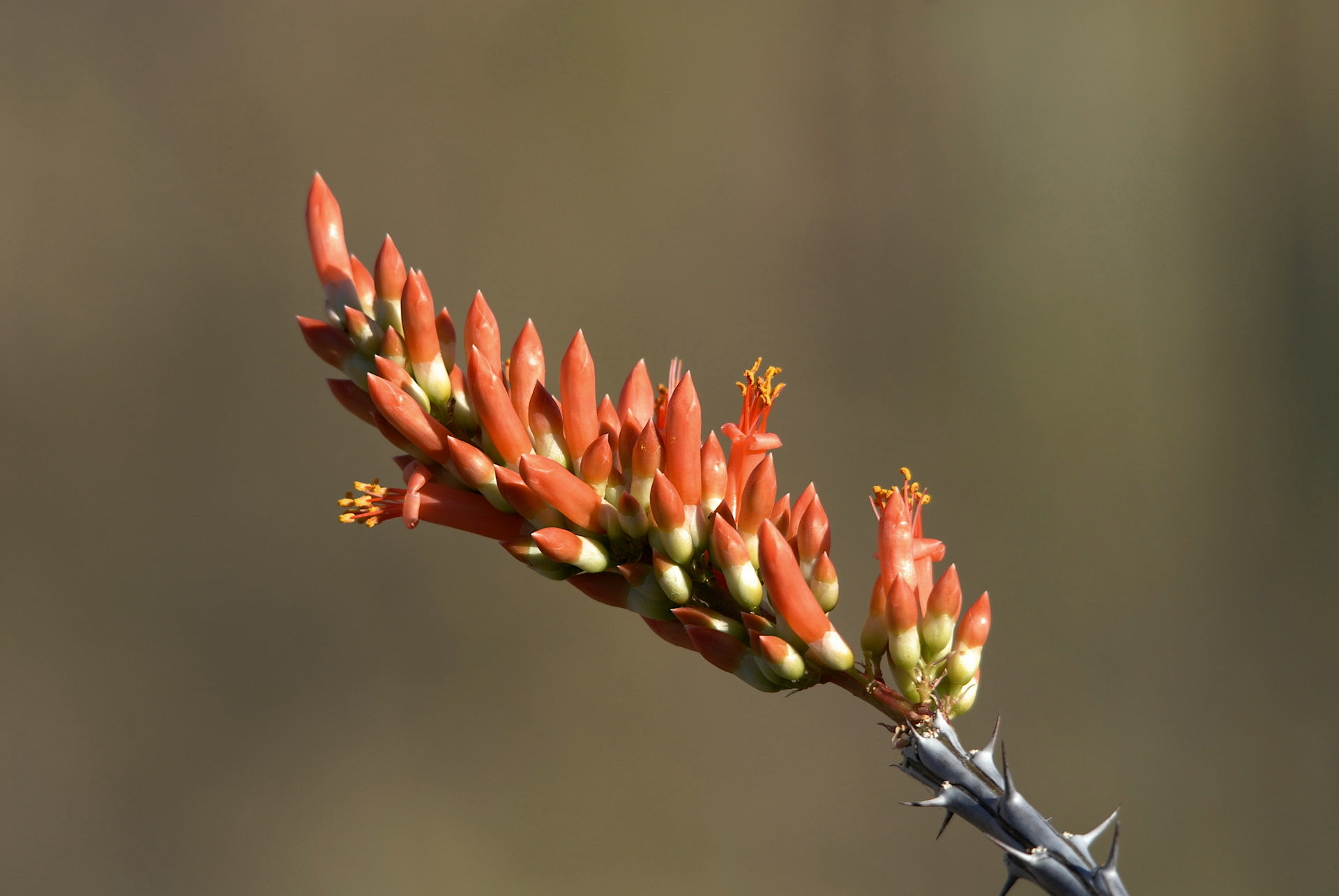 DSC_6747 - Version 2