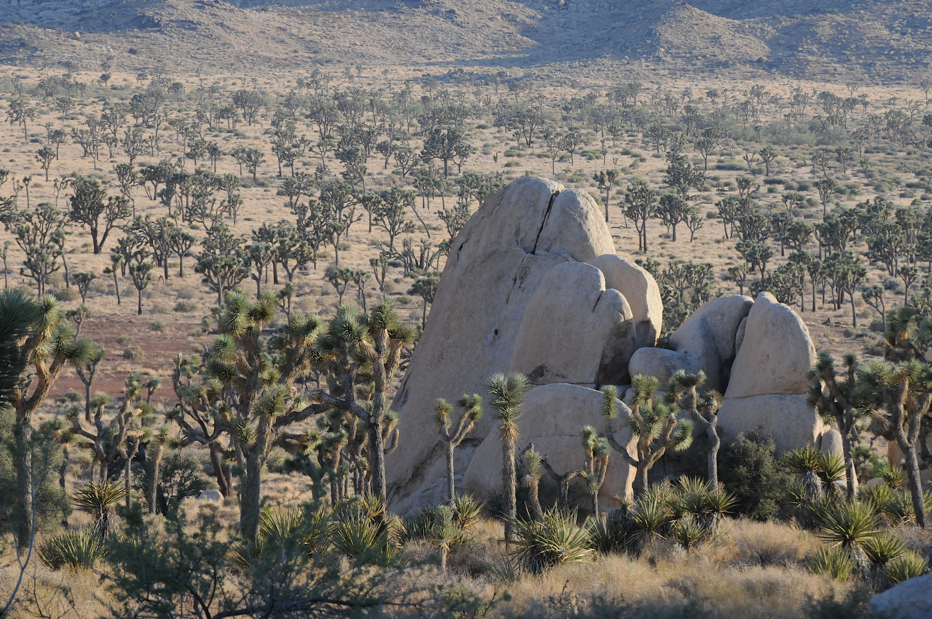 DSC_9080 - Version 2