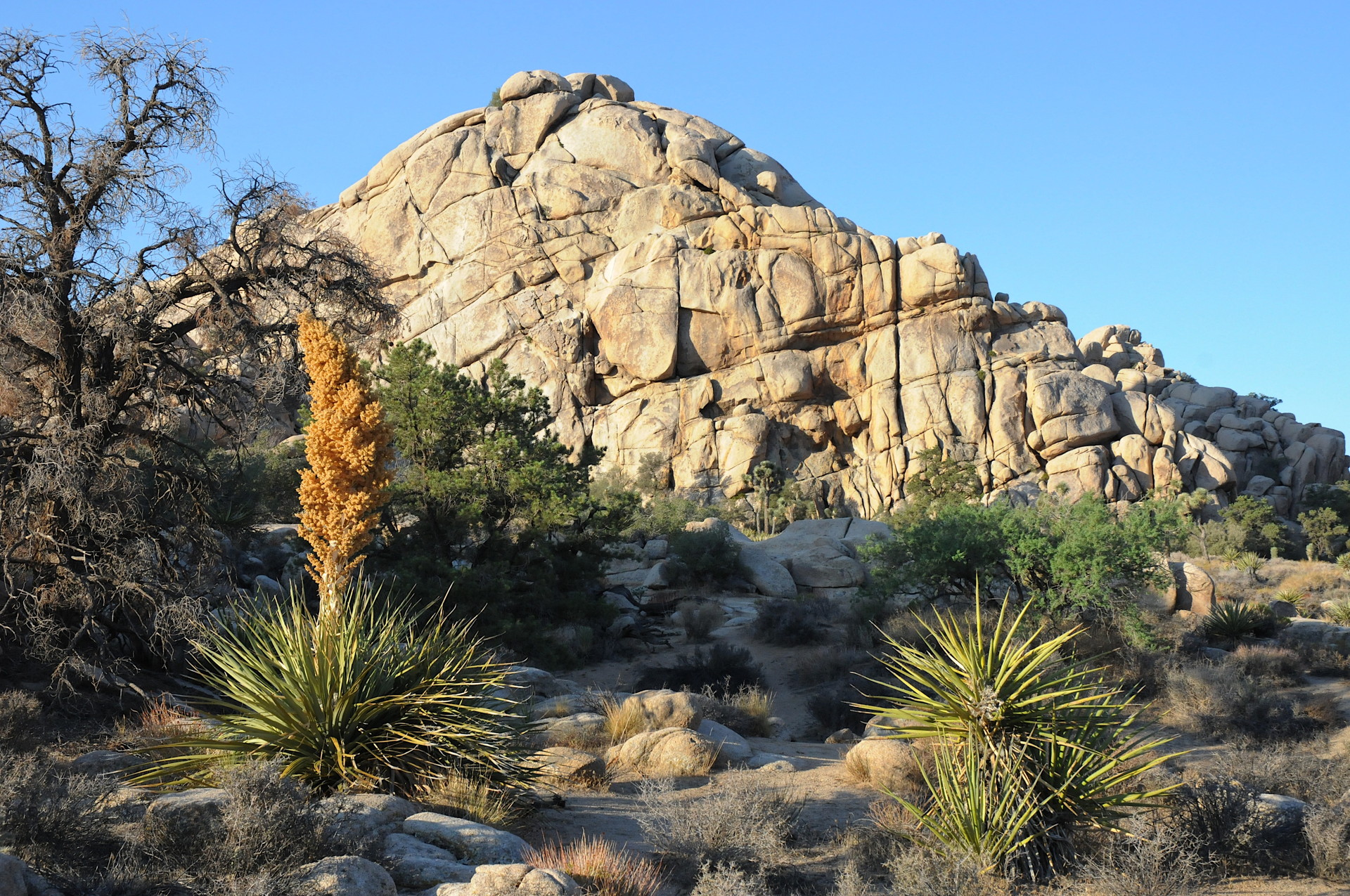 DSC_9256 - Version 2