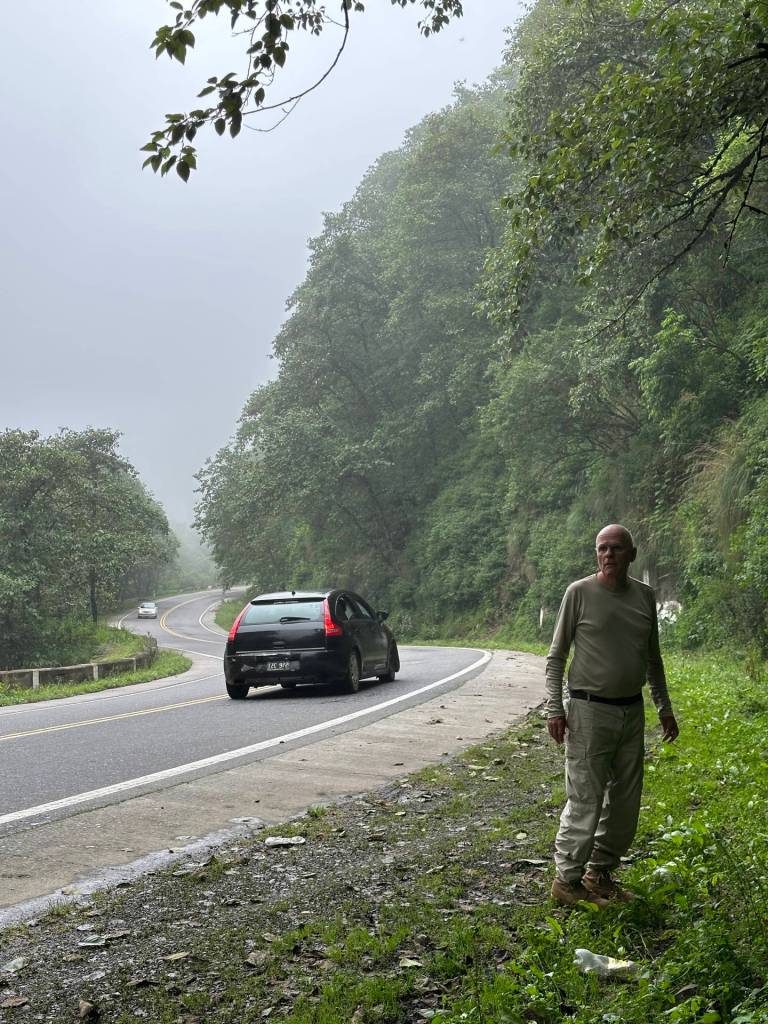 One of the few stopping places to look for plants...